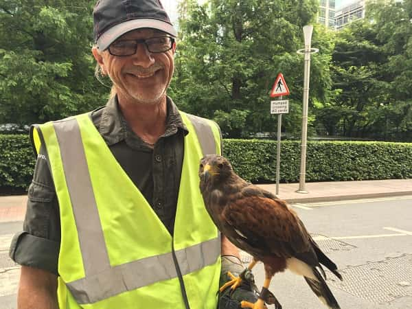 bird in Canary Wharf